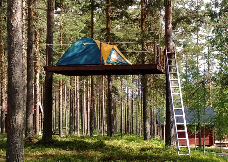 Tält på plattform bland tallarna