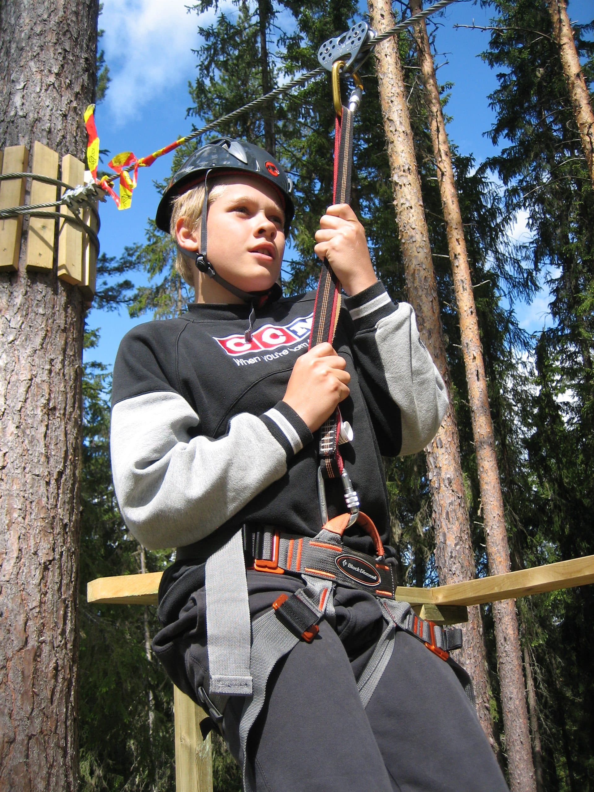 Zipline — bild 3
